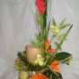 Rima Tropical Dream