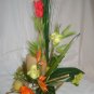 Rima Tropical Dream