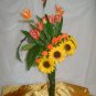 Rima Sunshine