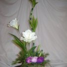 Rima Simplicity