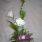 Rima Simplicity