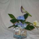 Rima Sea & Ocean