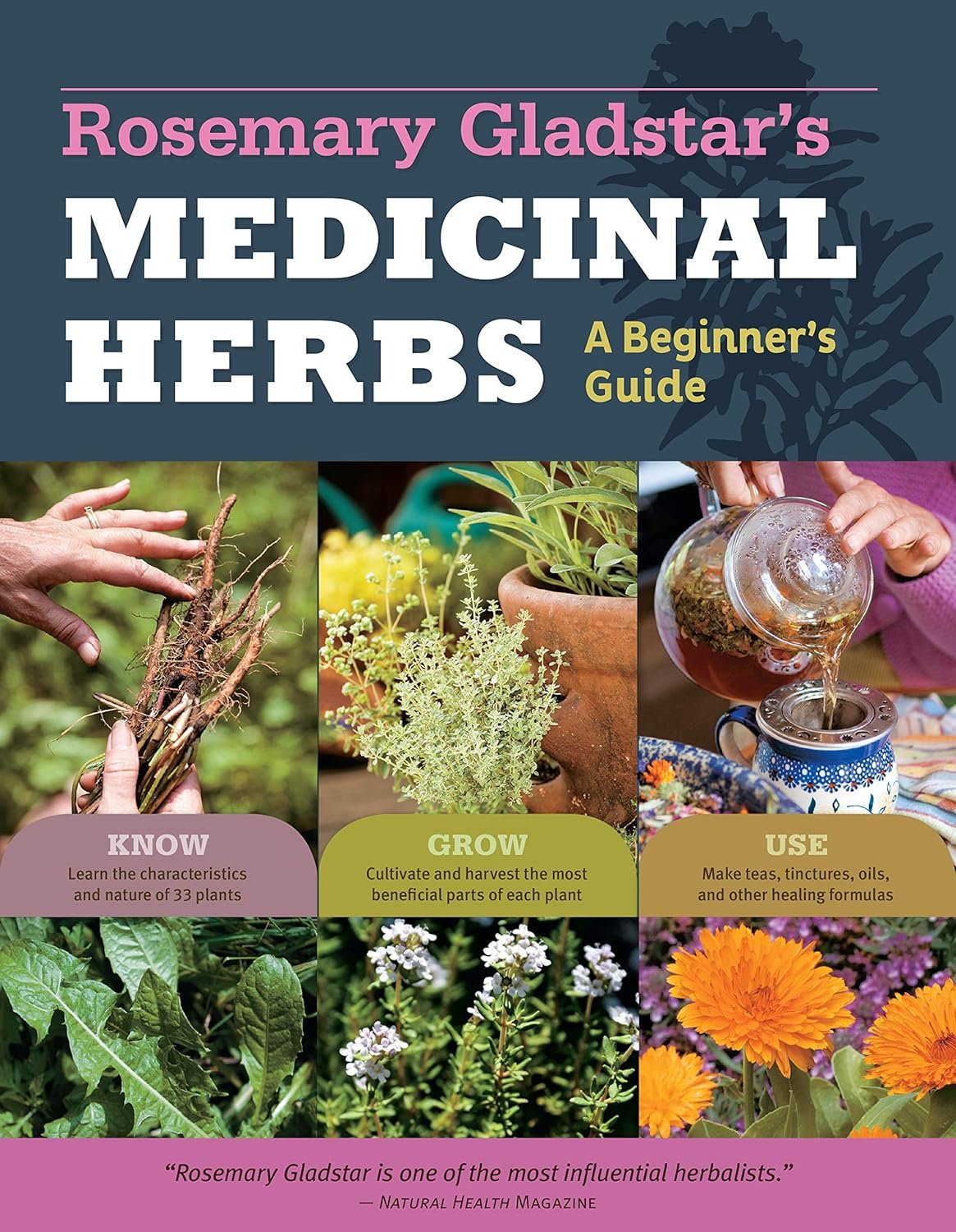 Rosemary Gladstar's Medicinal Herbs eTextbook