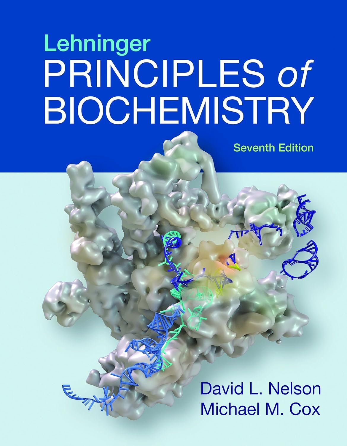 Lehninger Principles of Biochemistry Seventh 7th Edition 7e
