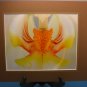 ORCHID by David Edwards 2006 Titled and Signed Photograph