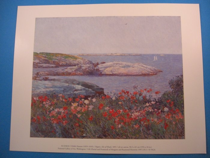 Poppies,  Isles of Shoals by Childe Hassam Art Print