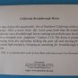 California Breakthrough Horse Note Card