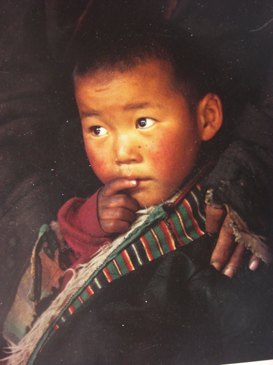 Sonam, Sheperd's Son in Tibet Postcard by Olivier Follmi
