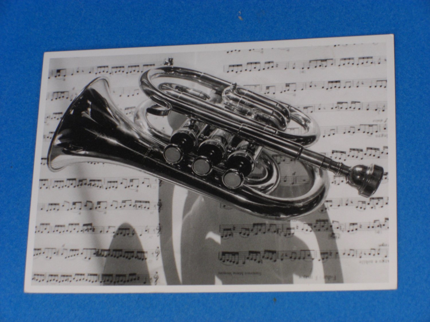 Nouvelles Images RIGHT ON THE NOTE Postcard by Alain Cotte