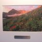 Willie Holdman Landscape Ltd. ED Framed-Photography