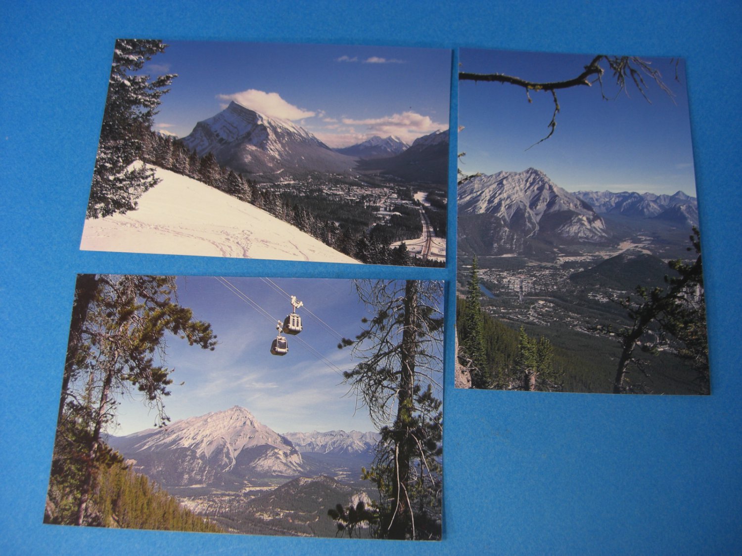 Canadian Rockies and Alberta Gondola Cars Postcard