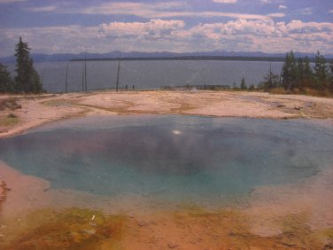 Jim Wilson Yellowstone Park Prints Photograph