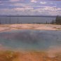 Jim Wilson Yellowstone Park Prints Photograph