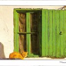 Green Window Photograph by Maurice Subewie
