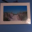 Dune Path Provincetown Tom Johnson Signed Art Print