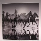 JONATHAN CHRITCHLEY  YellowKorner Horses And Reflexions Photograph