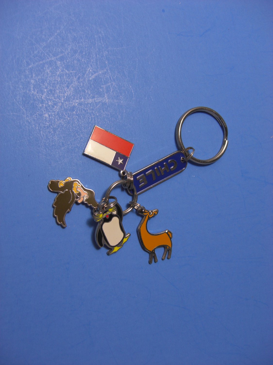 Chile Wildlife Vicu&Atilde;&plusmn;a, Chilean Condor, Macaroni Penguin Key Ring
