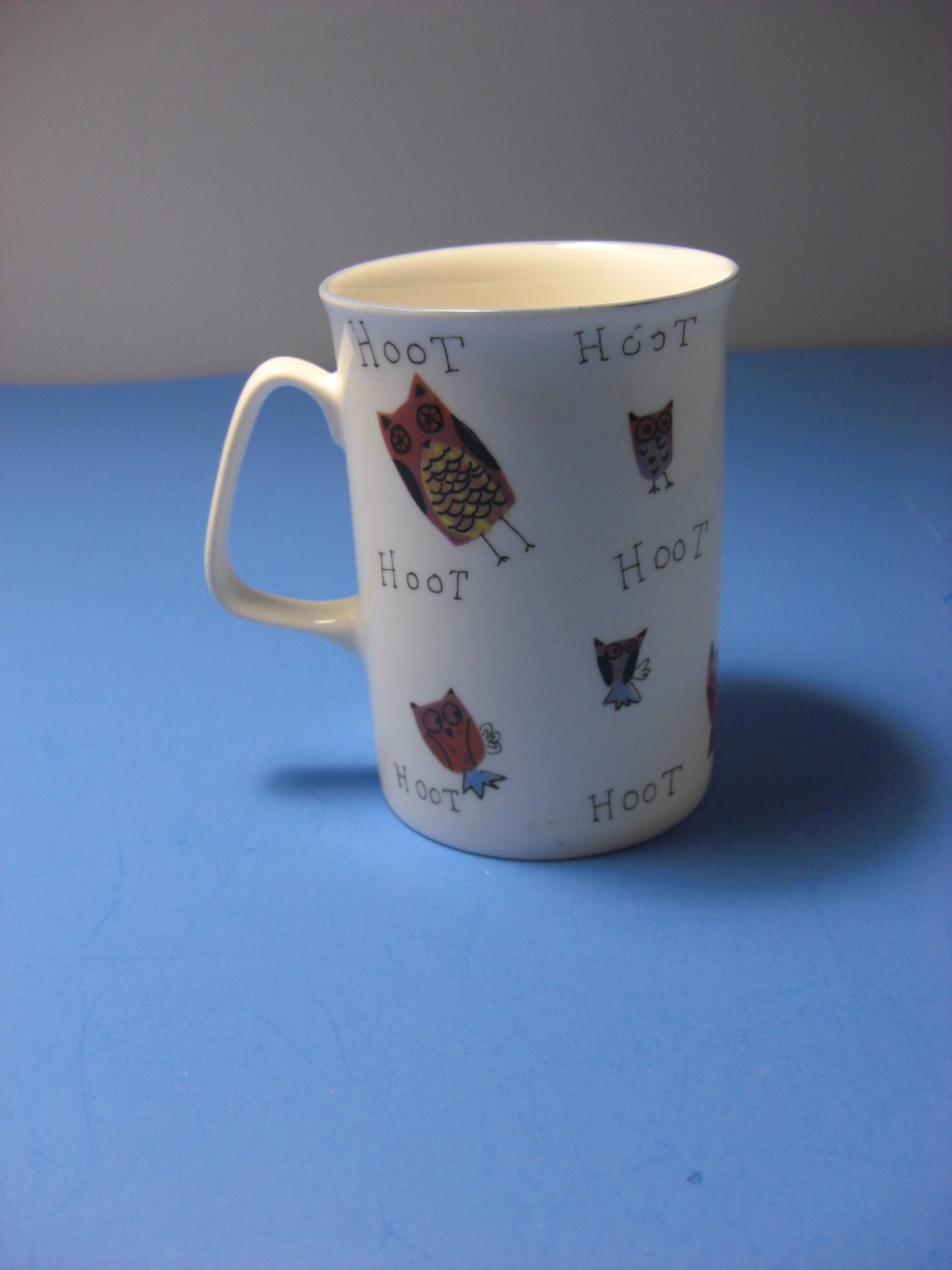 Rose Of England Colorful Whimsical Hoot Owl Mug Bone China -