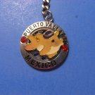 Puerto Vallarta Mexico Little Dolphin Key Ring