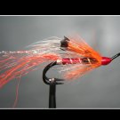 Size 6 Orange Ally Shrimp