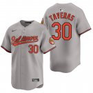 Baltimore Orioles #30 Leody Taveras Gray Men's & Youth Stitched Jersey