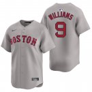 Boston Red Sox #9 Ted Williams Gray Men's & Youth Stitched Jersey
