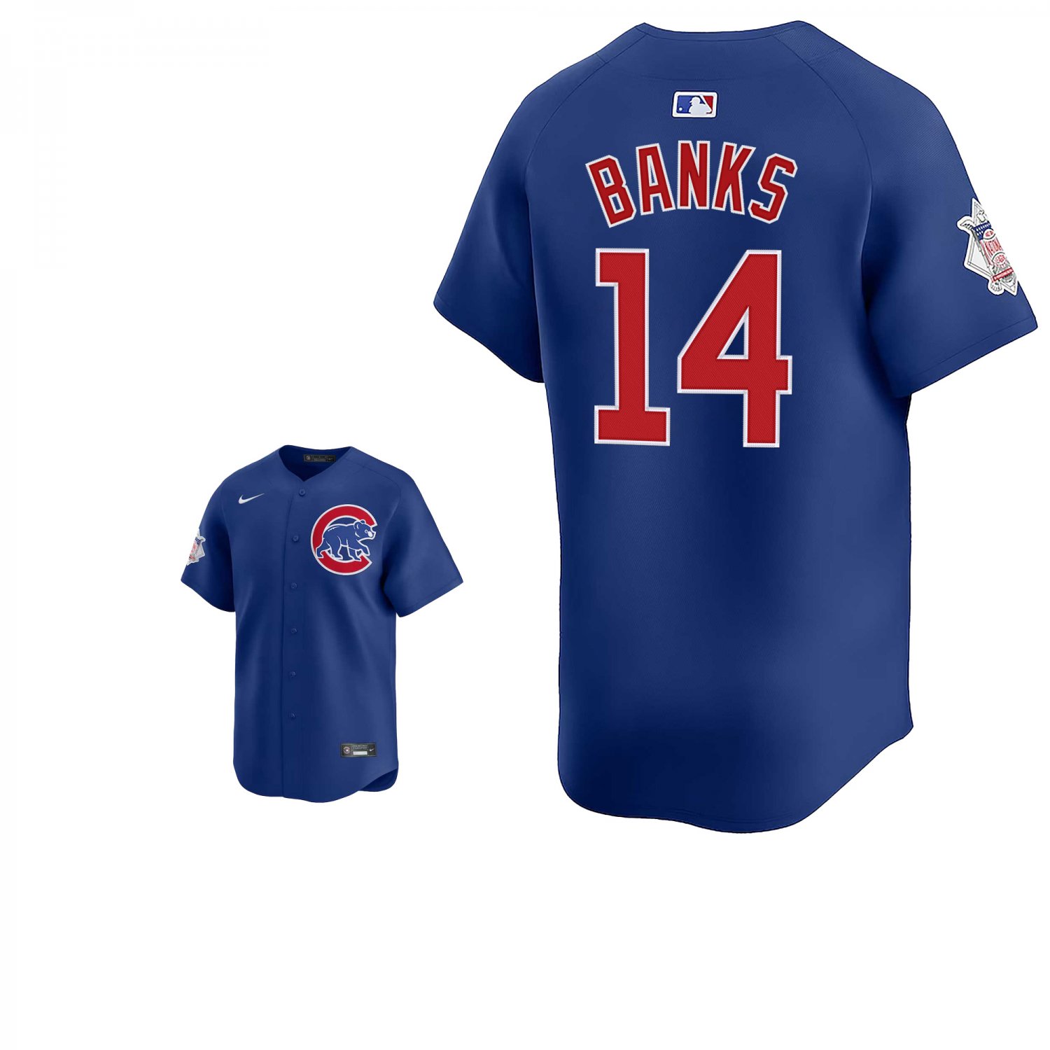 Chicago Cubs #14 Ernie Banks Royal Blue Men's & Youth Stitched Jersey