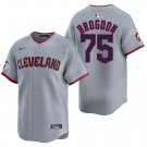 Cleveland Guardians #75 Connor Brogdon Gray Men's & Youth Stitched Jersey