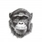 Chimpanzee Pin
