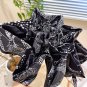 2025 Chanel Sun Protection Umbrella (85)