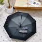 2025 Chanel Sun Protection Umbrella (85)