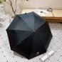 2025 Chanel Sun Protection Umbrella (138)