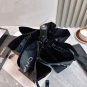 2025 Chanel Sun Protection Umbrella (235)