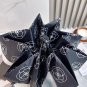 2025 Chanel Sun Protection Umbrella (244)