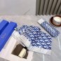 2025 Dior Sunscreen Umbrella (6)