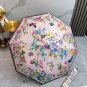 2025 Dior Sunscreen Umbrella (15)