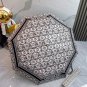 2025 Dior Sunscreen Umbrella (51)