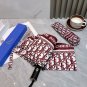 2025 Dior Sunscreen Umbrella (75)
