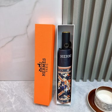 2025 HERMES Sun Protection Umbrella (9)