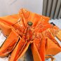 2025 HERMES Sun Protection Umbrella (33)