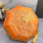 2025 HERMES Sun Protection Umbrella (33)
