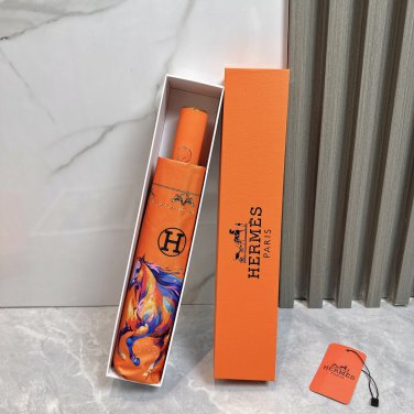 2025 HERMES Sun Protection Umbrella (74)