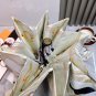 2025 HERMES Sun Protection Umbrella (117)