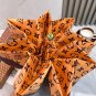2025 Louis Vuitton Sun Protection Umbrella (22)