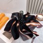 2025 Louis Vuitton Sun Protection Umbrella (44)