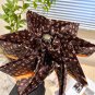 2025 Louis Vuitton Sun Protection Umbrella (54)