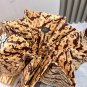 2025 Louis Vuitton Sun Protection Umbrella (64)