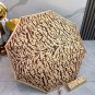 2025 Louis Vuitton Sun Protection Umbrella (128)