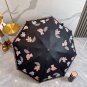 2025 MBURBERRY Sun Protection Umbrella (22)