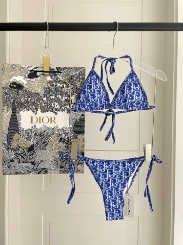 Dior's new bikini is a swimsuit suitable for various scenes &acirc;�� Beach swimming pools, hot spring_566